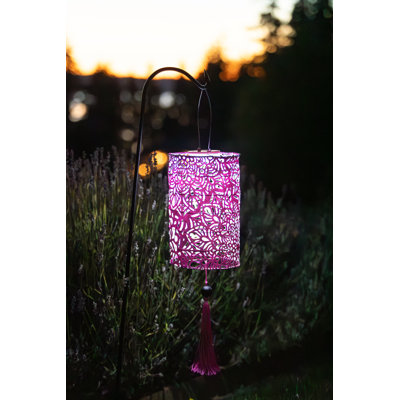 Lanterne solaire cylindrique 28,5 po Stella - Framboise