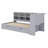 Multifunctional Daybed with LED Light & Storage Drawers-219729401