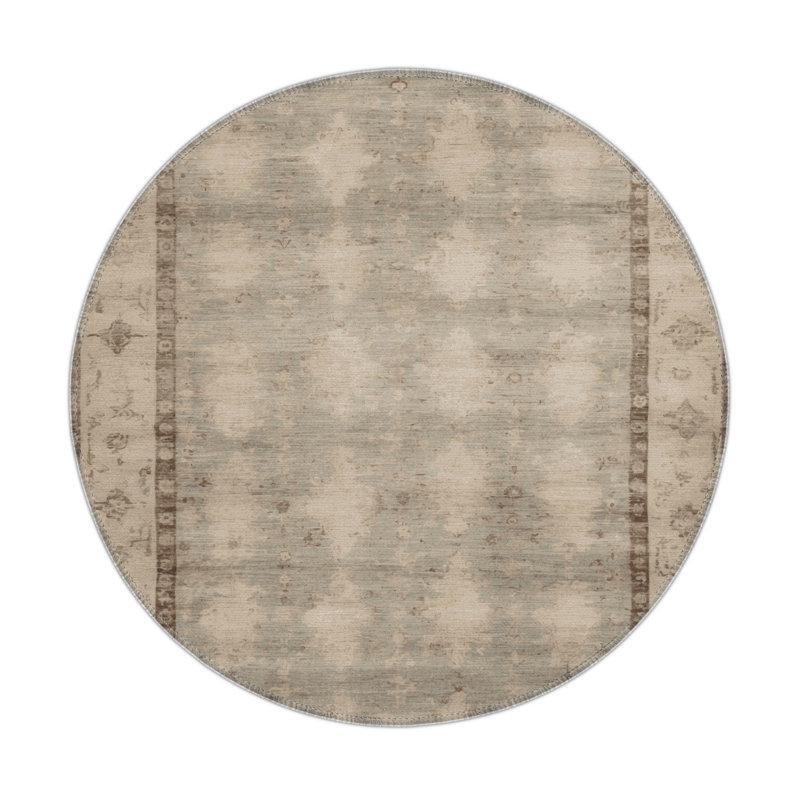Overdyed Beige Indoor and Outdoor Area Rug, Round 5'