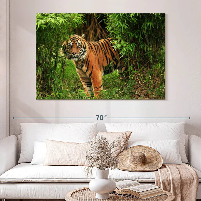 Tigre du Bengale dans la jungle Brampt, H 34 po x l 51 po