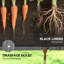 Outdoor Planter Box,Convenient Raised Garden Bed-458304936