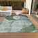 Machine Washable Indoor/Outdoor Cicel ACN1140 Seafoam Rug