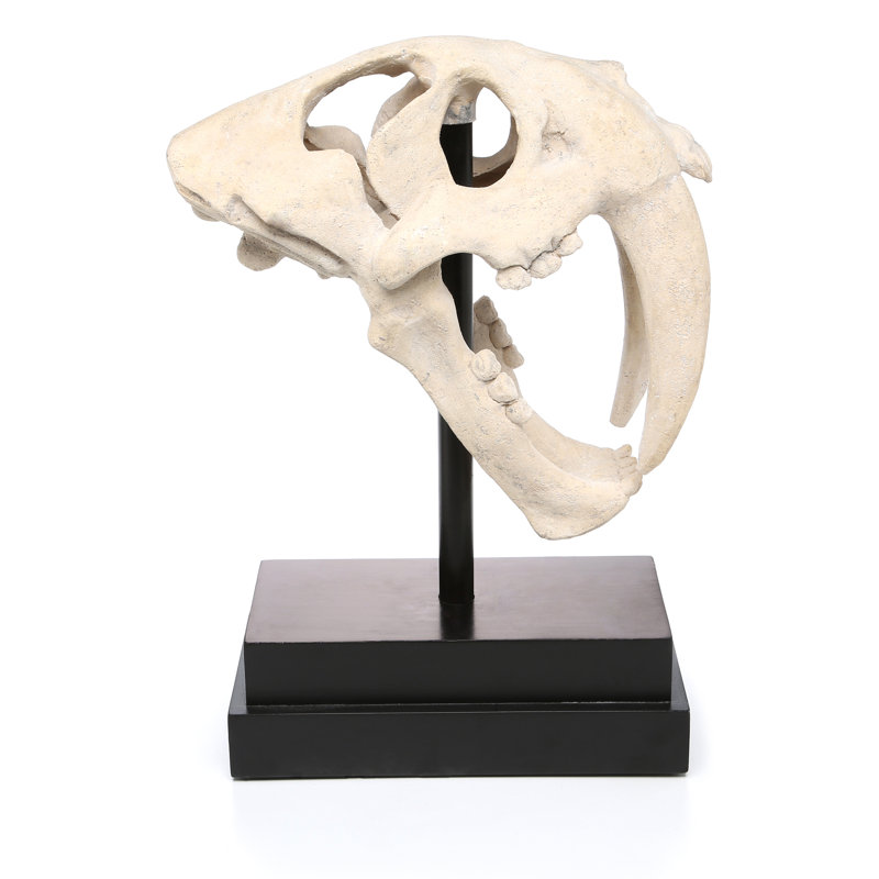 Saber-Toothed Tiger Skull Artifact Figurine
