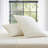 Solid Sheet Set Standard Sheet Set-95240404-95240403