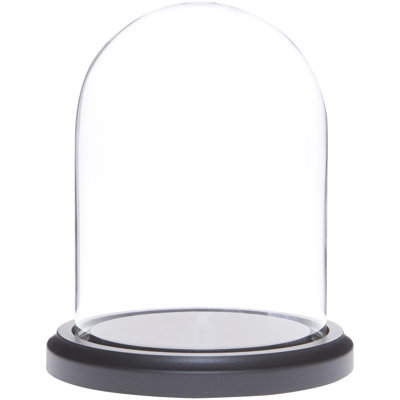 Jinny 4" x 5.25" Glass Display Dome Cloche