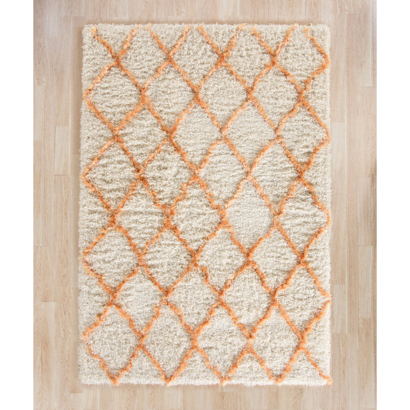 Tapis à poils longs Sg-MSG-Moroccan, Rectangle 5'1" x 7'6"