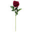 Tige de velours roses-31954745