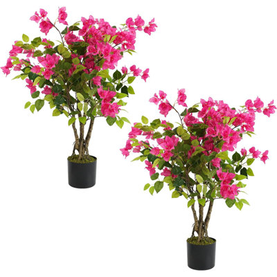91.44cm Plant
