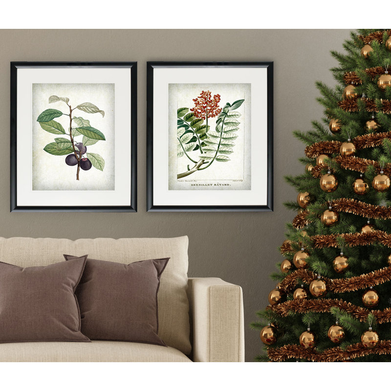 «Vintage Botanical Sketch X», ensemble de 2 reproductions de peintures à l'acrylique encadrées, Cadre noir