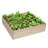 Dorgan Wood Planter Box