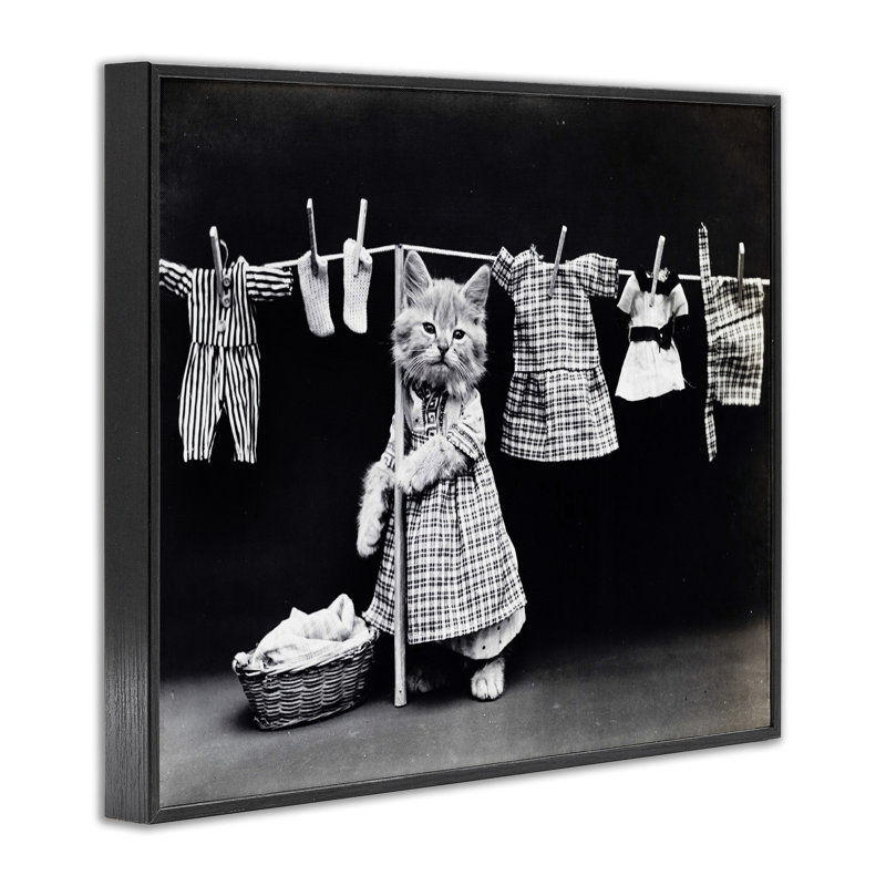 Chaton fait la lessive, impression, H 16 po x l 20 po, Giclée encadrée noir minuit