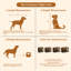 Caisse pour animaux Chinmay Furniture Style-1812961602