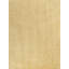 Astri Area Rug-1092415195
