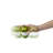 Chef'n GarlicZoom Garlic Chopper, XL, Green