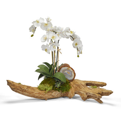 Orchids Floral Arrangement in Planter