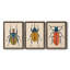 Beetle Bug I - ensemble de 3 peintures sur toile encadrées-1777886076-1777886049
