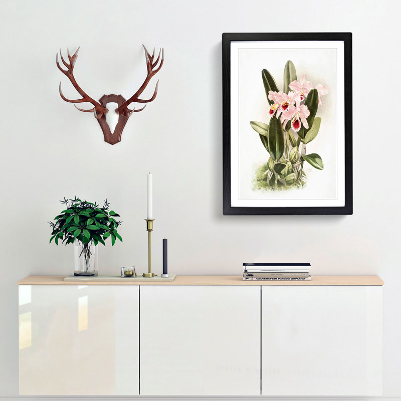 Magnolia Flowers Illustration Tab. 2 by Frederick Sander - Picture Frame Painting Print, Black, 76cm H x 50cm W x 2cm D