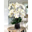 Blooming Orchid in Vase-931651917
