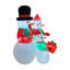 Christmas Decorative Accent