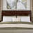 Lamayia Solid Wood Sleigh Platform Bed with Footboard and Storage Drawers-2033809128-2061774705