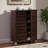 Adalwin Dark Brown Finish 2-Door Shoe Storage Cabinet, 38.34'' H X 29.95'' W X 13.1'' D