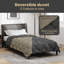 Duvet-1485358030