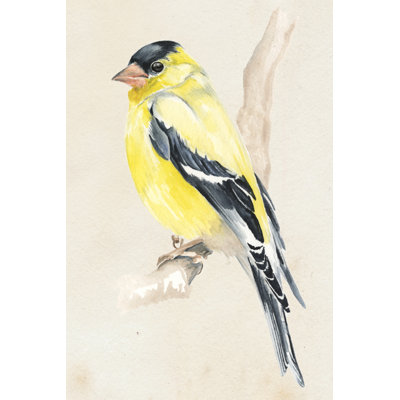Petit oiseau sur une branche III