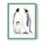 «Emperor Penguins II», reproduction encadrée - bois massif-1466295832-1466295828
