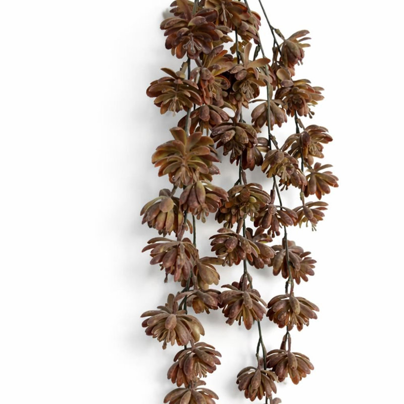 Hanging Plants X6 70cm Plant