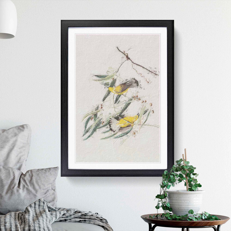 Prothonotary Warbler Birds by John Audubon - Picture Frame Painting Print, 65cm H x 48cm W x 2cm D, Black Framed