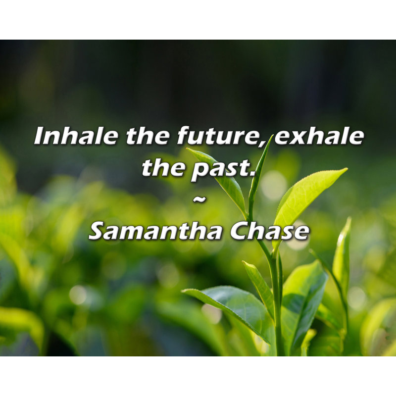 Citation artistique «Inhaler le futur, exhaler le passé». Toile tendue par Samantha Chase