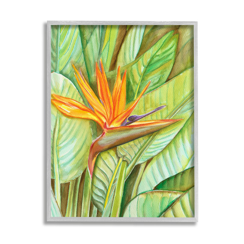 Fleur oiseau de paradis, H 20 po x l 16 po x P 1,5 po, Estampe numérique Farmhouse