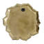Plaque murale succulente 1pc