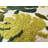 Voshell Non-Slip Bath Rug