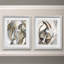 «Horse Abstraction I», ensemble de 2 reproductions d'art sur papier encadrées