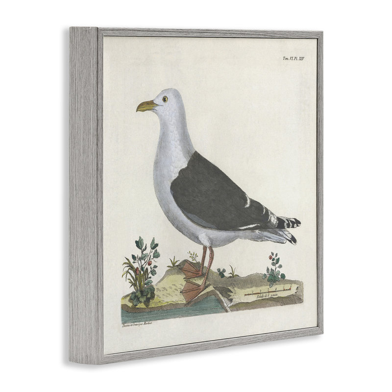 Étude de mouette rétro, giclée, conception par Phillipa Katz, H 24 po x l 24 po, Estampe numérique Farmhouse