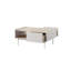 Bishesh Coffee Table with Storage