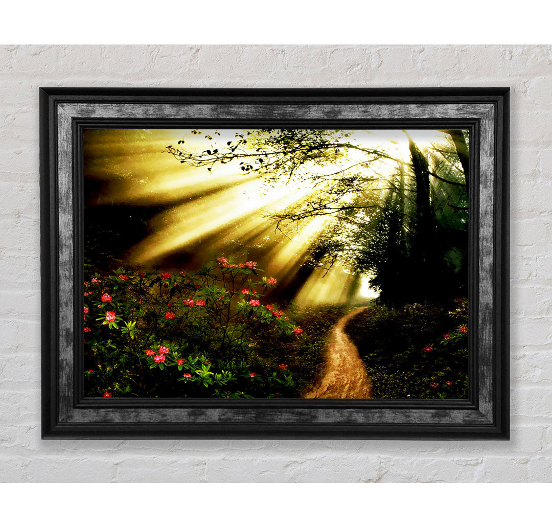 Gerahmtes Poster Mystical Garden Path