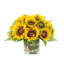 Faux Sunflowers in Vase-1031976619
