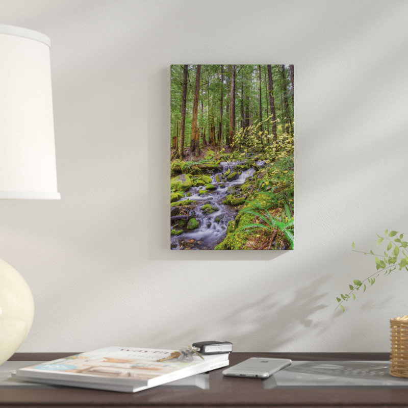 «Forest Landscape with Cascading Stream», reproduction de photo sur toile, H 12 po x l 8 po x P 0,75 po, Pas de tapis