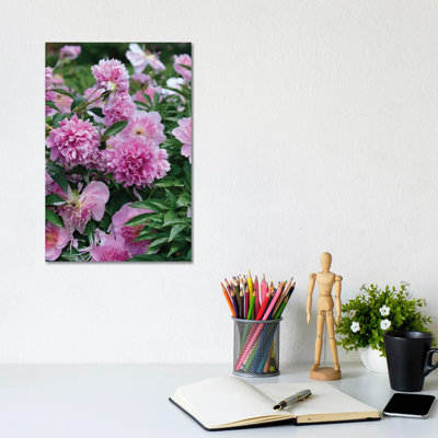 Garden of Blooming Peony I 1 Piece Wrapped Canvas Wall Art