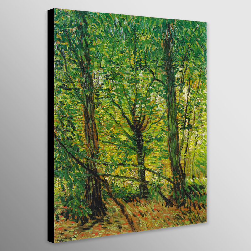 Trees And Undergrowth By Vincent Van Gogh by Vincent Van Gogh - Wrapped Canvas Print, 31cm H x 21cm W