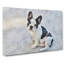 French Bulldog Vol.3 - Wrapped Canvas-61855269