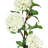 Hydrangea Arrangement-1578622538