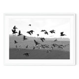 Estuary - Picture Frame Photograph on Paper