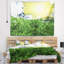 Paysage pré ensoleillé avec tapisserie d'herbe verte-28487900