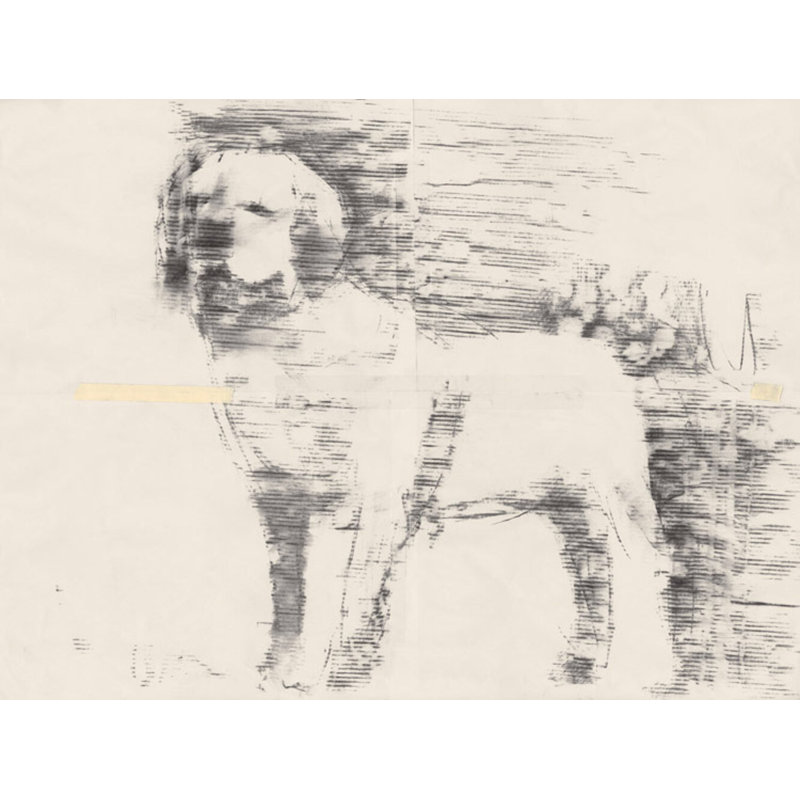 Man's Best 5 Print by Ngo, PC, 28" H x 36" W