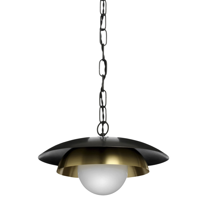 Carapace 1 - Light Pendant