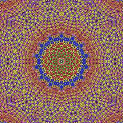 Indoor Rug