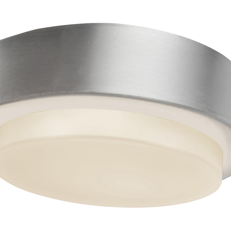 Bailey 5-in Black dimmable LED Outdoor Ceiling Light, Brushed Nickel, Brushed Nickel